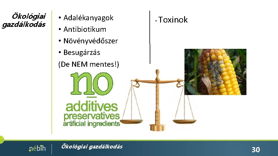 Ökológiai gazdálkodás • Adalékanyagok • Antibiotikum • Növényvédőszer • Besugárzás (De NEM mentes!) Ökológiai