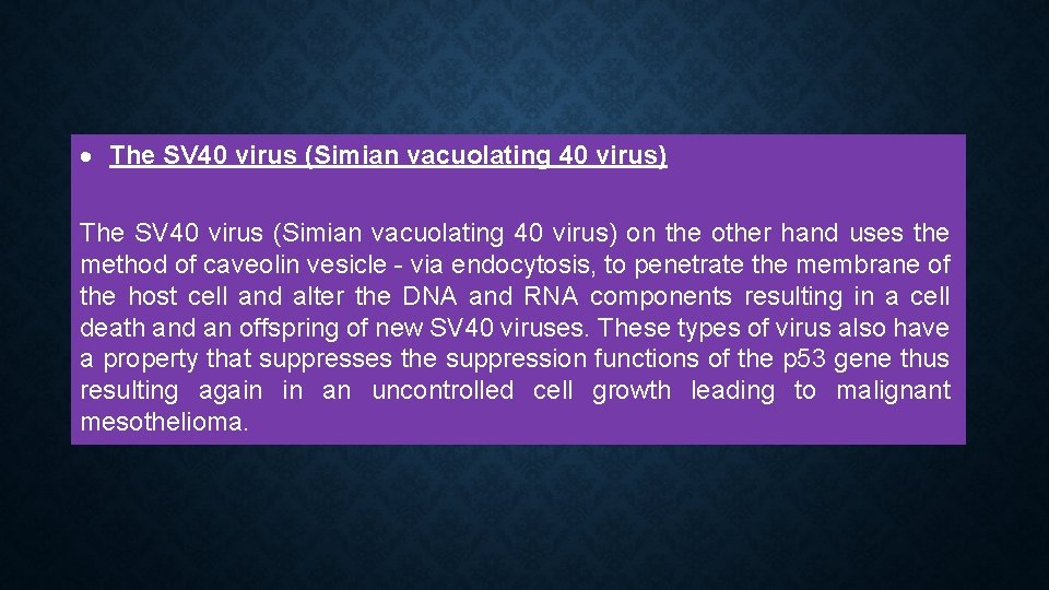  The SV 40 virus (Simian vacuolating 40 virus) on the other hand uses