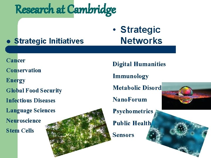 Research at Cambridge l Strategic Initiatives Cancer Conservation Energy Global Food Security Infectious Diseases