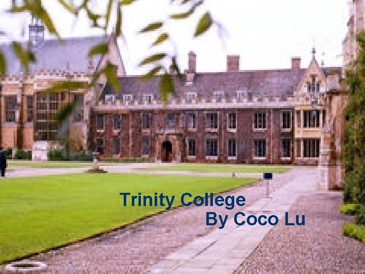 Trinity College By Coco Lu 