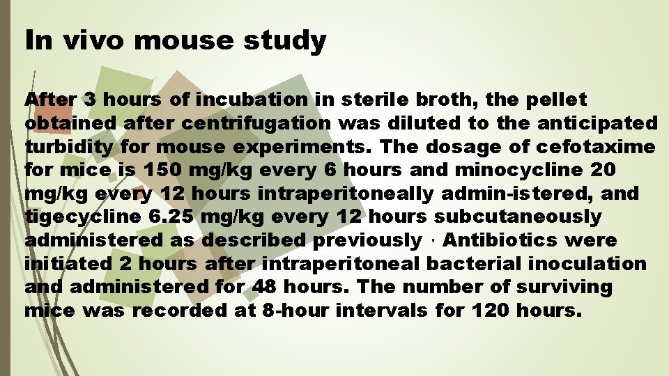 In vivo mouse study After 3 hours of incubation in sterile broth, the pellet