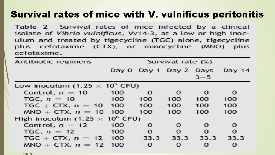 Survival rates of mice with V. vulnificus peritonitis 