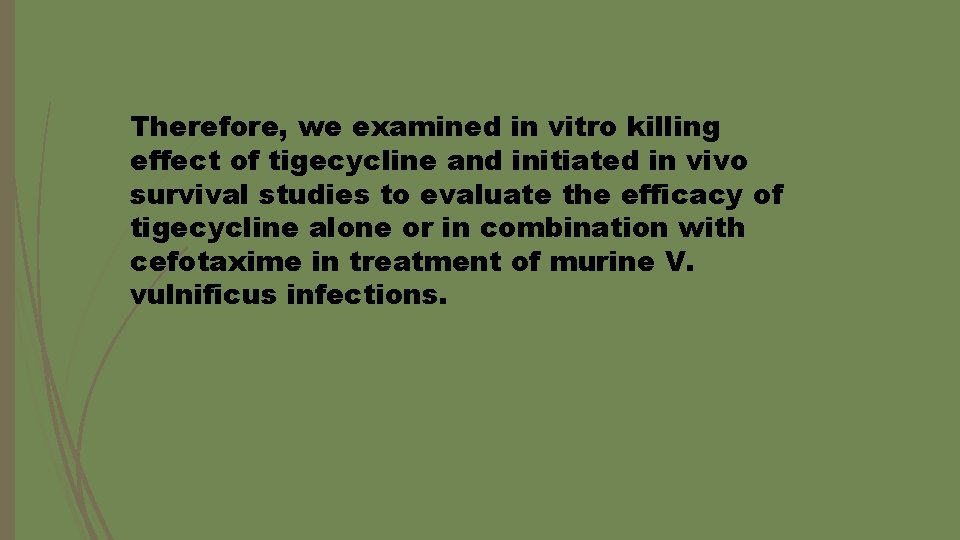 Therefore, we examined in vitro killing effect of tigecycline and initiated in vivo survival