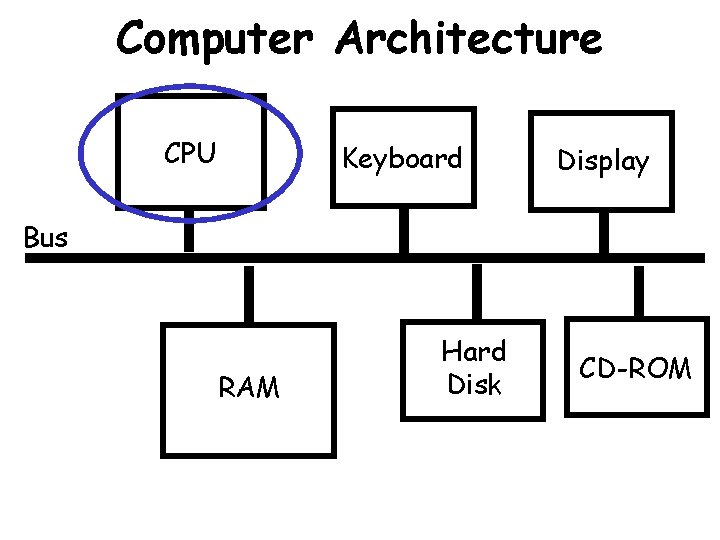 Computer Architecture CPU Keyboard Display Bus RAM Hard Disk CD-ROM 