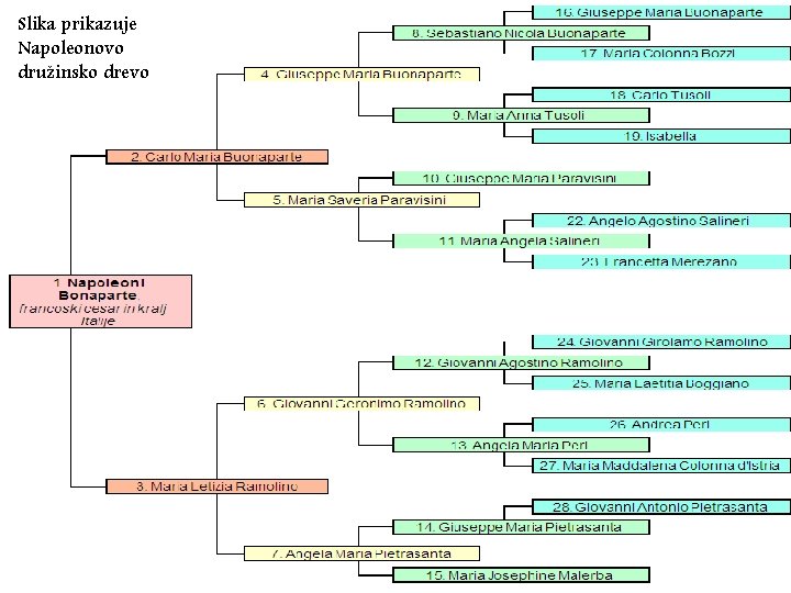 Slika prikazuje Napoleonovo družinsko drevo 
