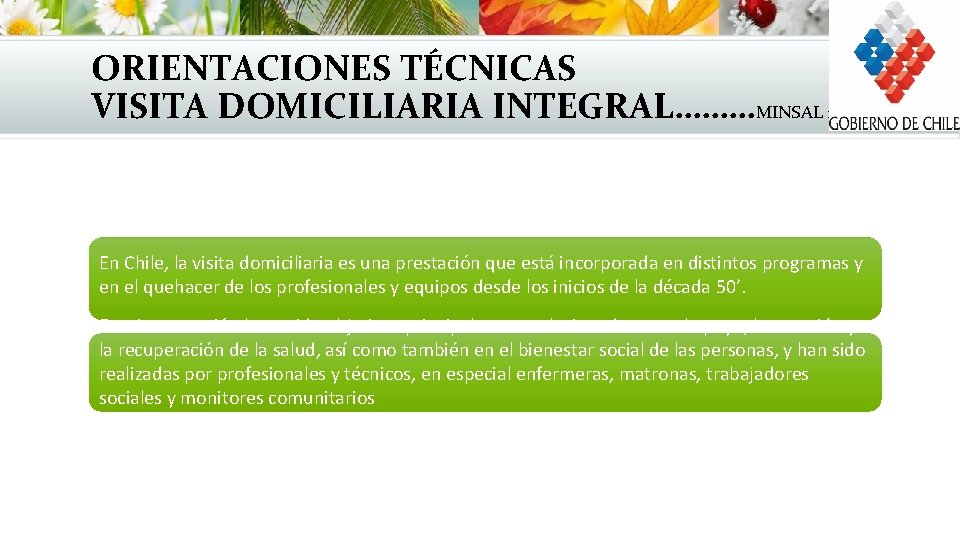 ORIENTACIONES TÉCNICAS VISITA DOMICILIARIA INTEGRAL………MINSAL 2008 En Chile, la visita domiciliaria es una prestación ORIENTACIONES TÉCNICAS VISITA DOMICILIARIA INTEGRAL………MINSAL 2008 En Chile, la visita domiciliaria es una prestación