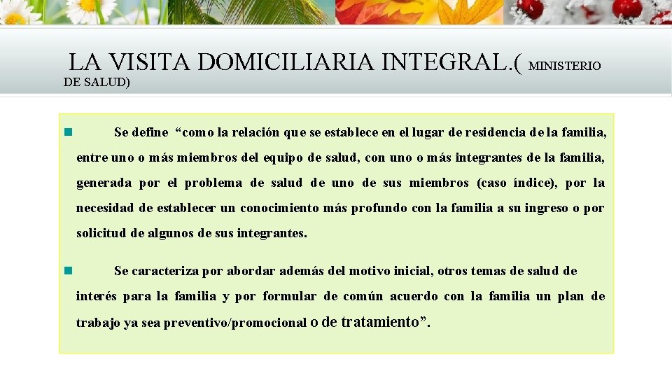 LA VISITA DOMICILIARIA INTEGRAL. ( MINISTERIO DE SALUD) Se define “como la relación que LA VISITA DOMICILIARIA INTEGRAL. ( MINISTERIO DE SALUD) Se define “como la relación que