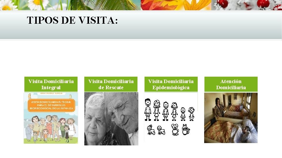 TIPOS DE VISITA: Visita Domiciliaria Integral Visita Domiciliaria de Rescate Visita Domiciliaria Epidemiológica Atención TIPOS DE VISITA: Visita Domiciliaria Integral Visita Domiciliaria de Rescate Visita Domiciliaria Epidemiológica Atención