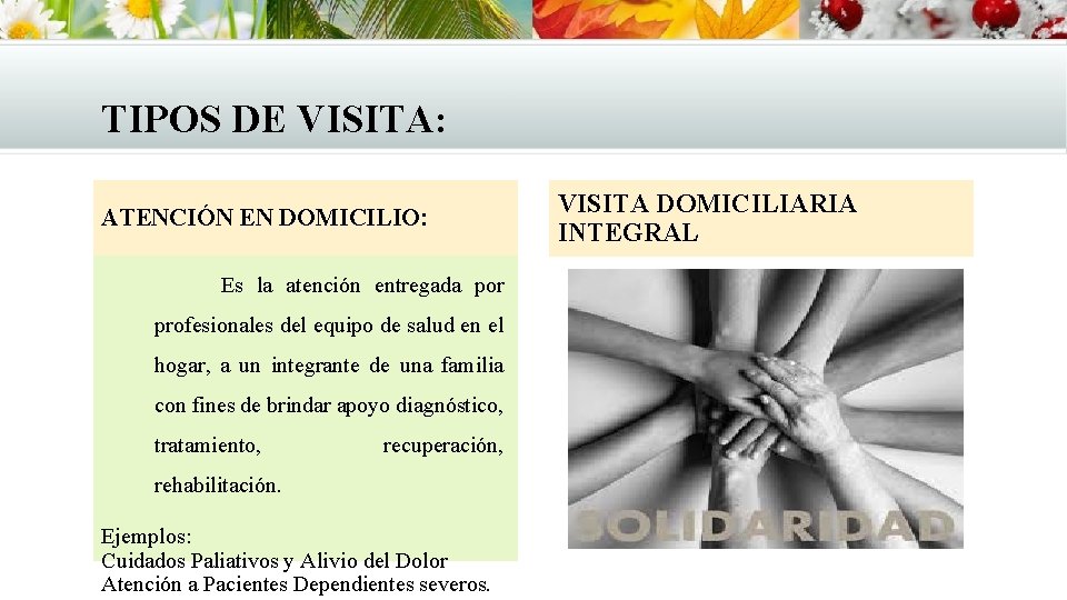 TIPOS DE VISITA: ATENCIÓN EN DOMICILIO: Es la atención entregada por profesionales del equipo TIPOS DE VISITA: ATENCIÓN EN DOMICILIO: Es la atención entregada por profesionales del equipo