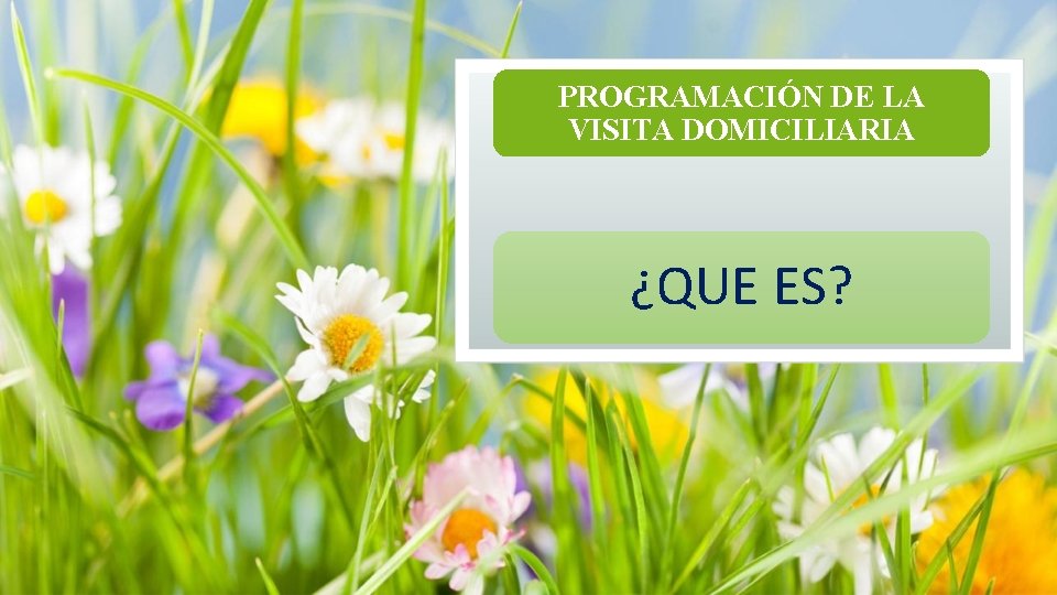 PROGRAMACIÓN DE LA VISITA DOMICILIARIA ¿QUE ES? PROGRAMACIÓN DE LA VISITA DOMICILIARIA ¿QUE ES?