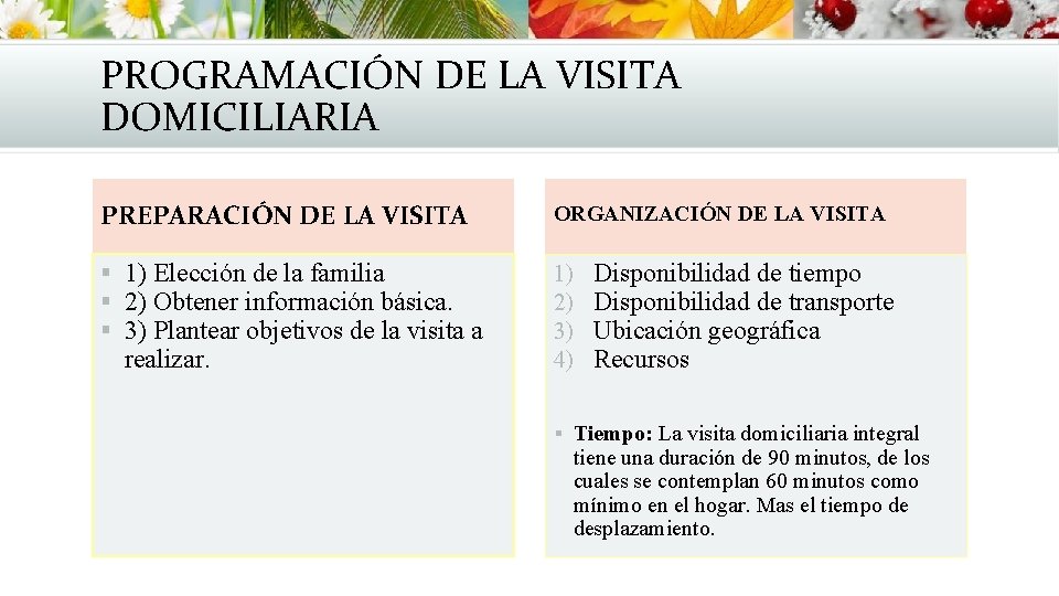PROGRAMACIÓN DE LA VISITA DOMICILIARIA PREPARACIÓN DE LA VISITA ORGANIZACIÓN DE LA VISITA § PROGRAMACIÓN DE LA VISITA DOMICILIARIA PREPARACIÓN DE LA VISITA ORGANIZACIÓN DE LA VISITA §