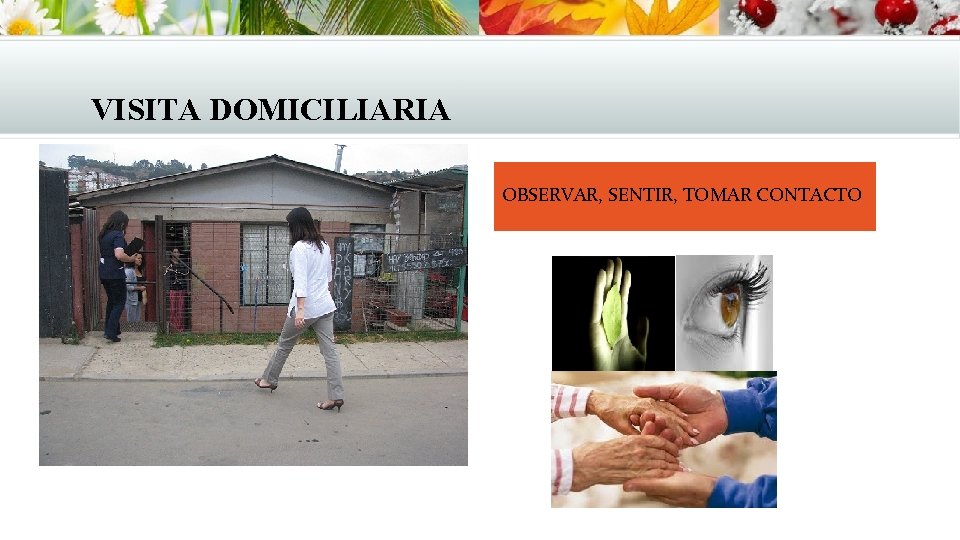VISITA DOMICILIARIA OBSERVAR, SENTIR, TOMAR CONTACTO VISITA DOMICILIARIA OBSERVAR, SENTIR, TOMAR CONTACTO