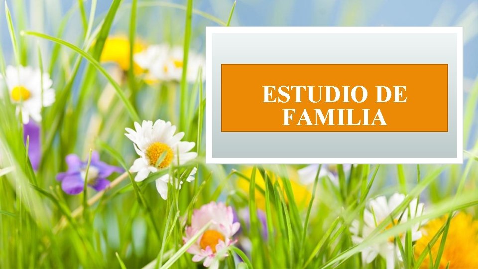 ESTUDIO DE FAMILIA ESTUDIO DE FAMILIA