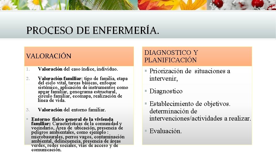 PROCESO DE ENFERMERÍA. VALORACIÓN 1. Valoración del caso índice, individuo. 2. Valoración familiar: tipo PROCESO DE ENFERMERÍA. VALORACIÓN 1. Valoración del caso índice, individuo. 2. Valoración familiar: tipo