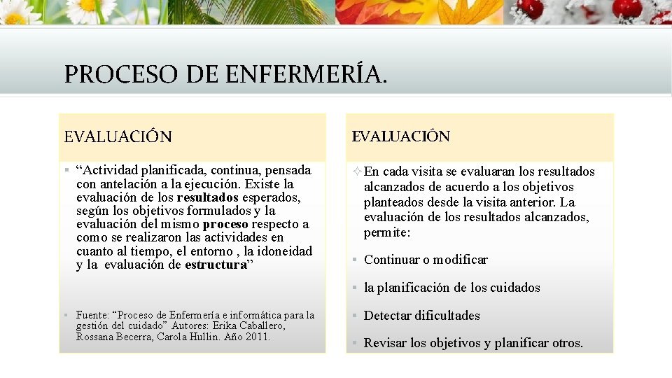 PROCESO DE ENFERMERÍA. EVALUACIÓN § “Actividad planificada, continua, pensada ² En cada visita se PROCESO DE ENFERMERÍA. EVALUACIÓN § “Actividad planificada, continua, pensada ² En cada visita se