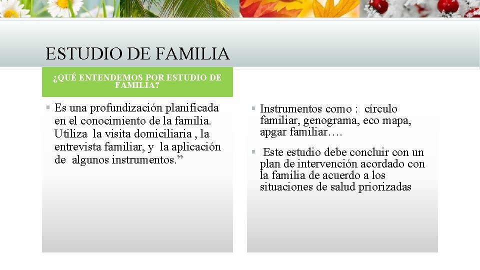 ESTUDIO DE FAMILIA ¿QUÉ ENTENDEMOS POR ESTUDIO DE FAMILIA? § Es una profundización planificada ESTUDIO DE FAMILIA ¿QUÉ ENTENDEMOS POR ESTUDIO DE FAMILIA? § Es una profundización planificada
