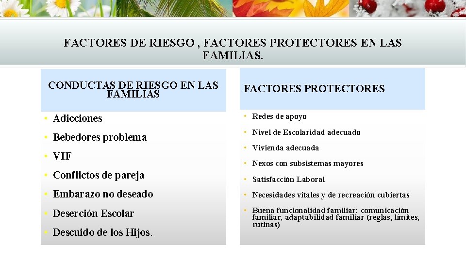 FACTORES DE RIESGO , FACTORES PROTECTORES EN LAS FAMILIAS. CONDUCTAS DE RIESGO EN LAS FACTORES DE RIESGO , FACTORES PROTECTORES EN LAS FAMILIAS. CONDUCTAS DE RIESGO EN LAS