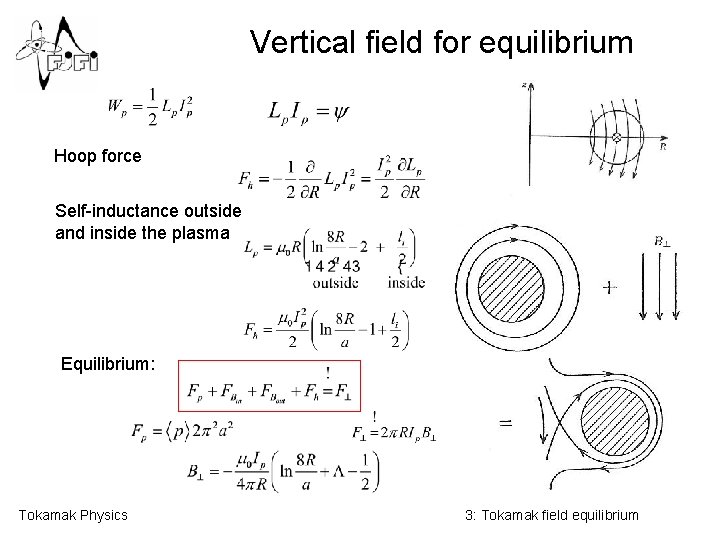 Vertical field for equilibrium Hoop force Self-inductance outside and inside the plasma Equilibrium: Tokamak
