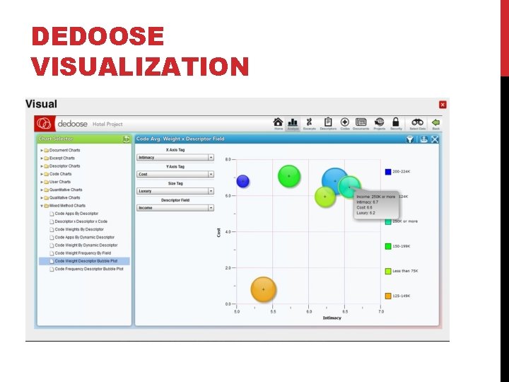 DEDOOSE VISUALIZATION 