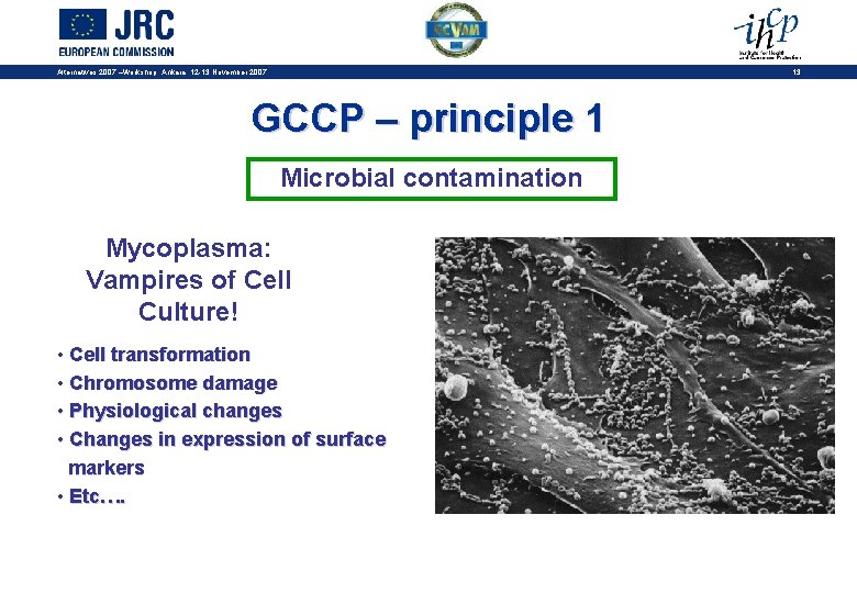 13 Alternatives 2007 –Workshop, Ankara, 12 -13 November 2007 GCCP – principle 1 Microbial