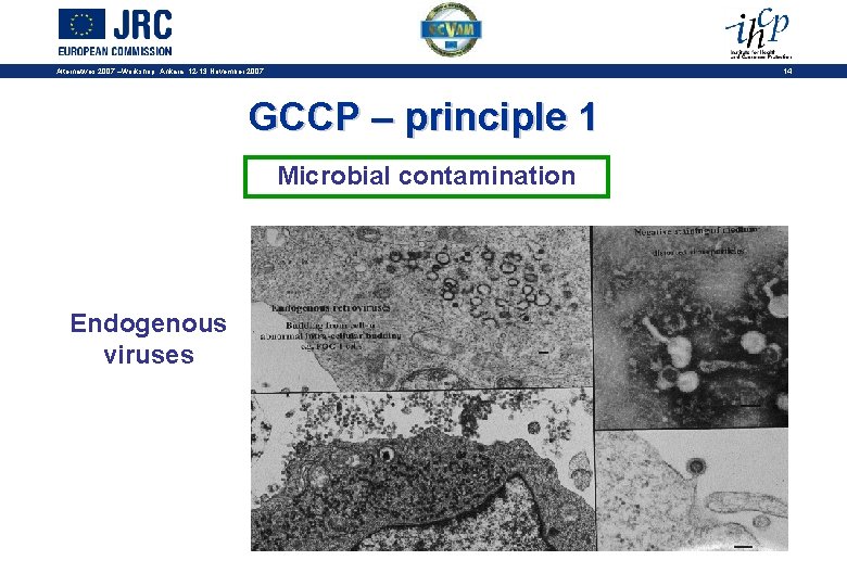 14 Alternatives 2007 –Workshop, Ankara, 12 -13 November 2007 GCCP – principle 1 Microbial