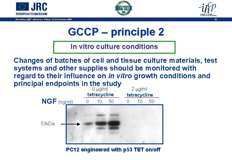 18 Alternatives 2007 –Workshop, Ankara, 12 -13 November 2007 GCCP – principle 2 In