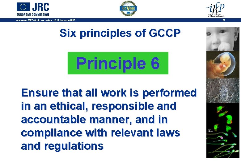 27 Alternatives 2007 –Workshop, Ankara, 12 -13 November 2007 Six principles of GCCP Principle