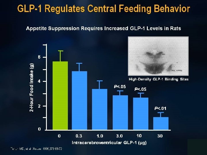 GLP-1 Regulates Central Feeding Behavior 