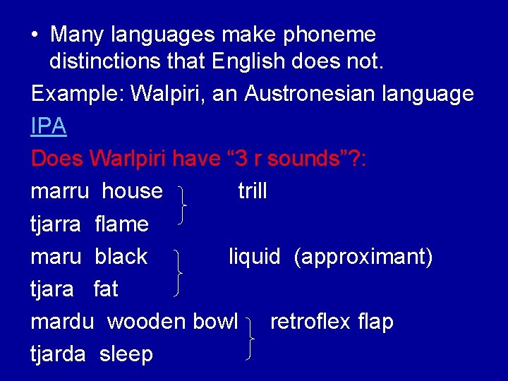  • Many languages make phoneme distinctions that English does not. Example: Walpiri, an