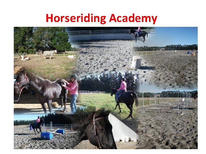 Horseriding Academy 