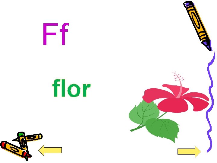 Ff flor 