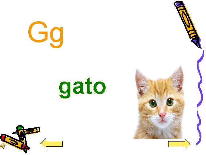 Gg gato 