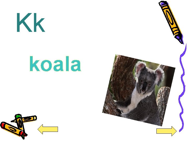 Kk koala 