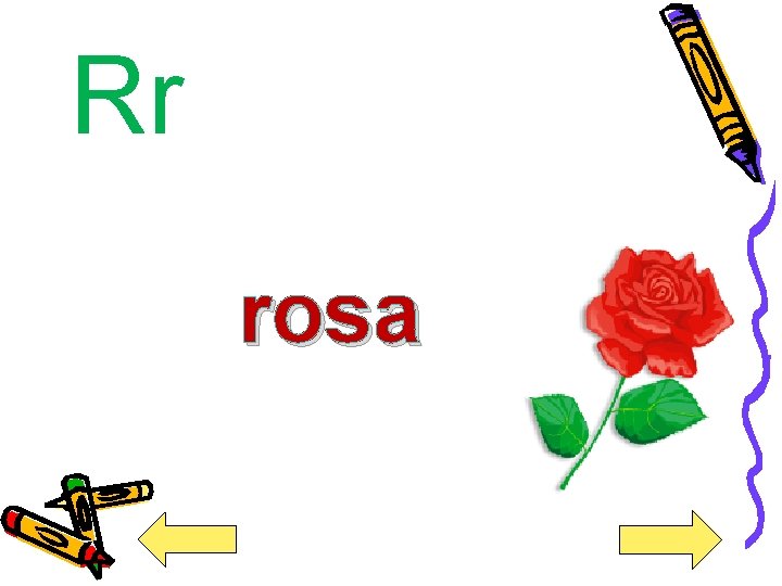 Rr rosa 