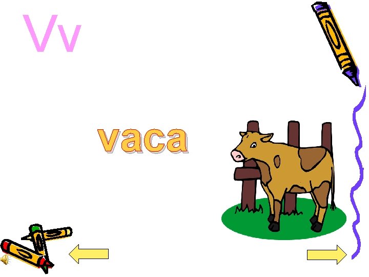 Vv vaca 