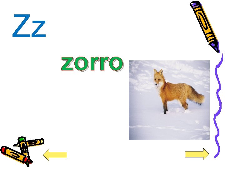 Zz zorro 