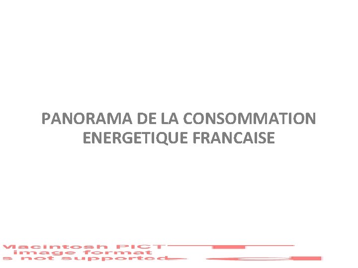 PANORAMA DE LA CONSOMMATION ENERGETIQUE FRANCAISE 