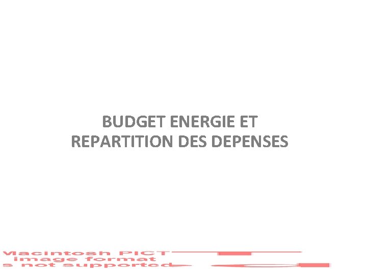 BUDGET ENERGIE ET REPARTITION DES DEPENSES 