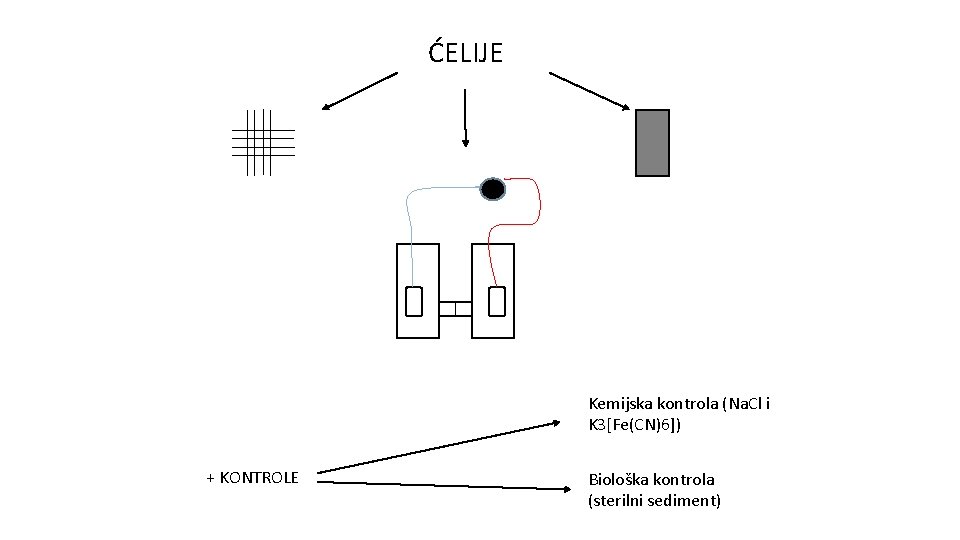 ĆELIJE Kemijska kontrola (Na. Cl i K 3[Fe(CN)6]) + KONTROLE Biološka kontrola (sterilni sediment)