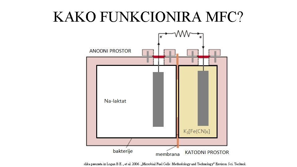 KAKO FUNKCIONIRA MFC? slika preuzeta iz Logan B. E. . , et al. 2006.