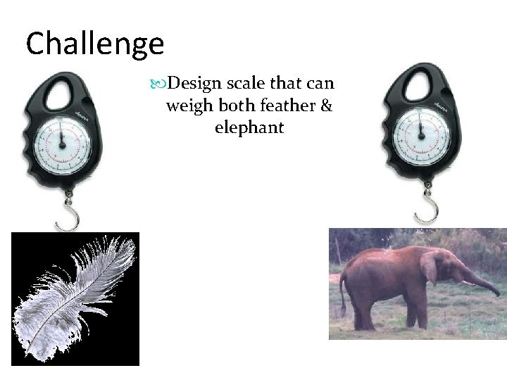 Challenge Design scale that can weigh both feather & elephant 