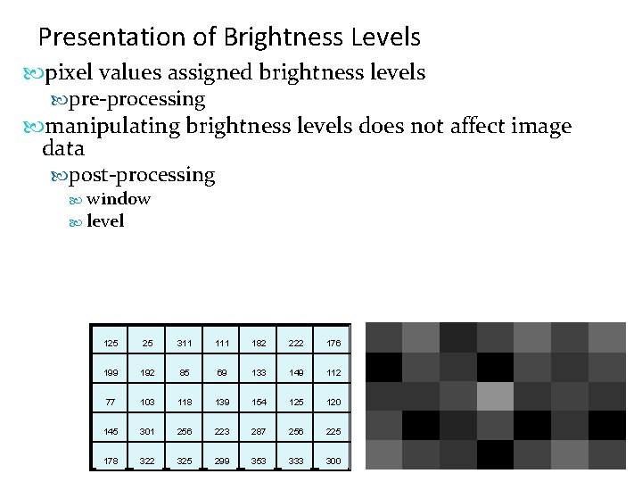 Presentation of Brightness Levels pixel values assigned brightness levels pre-processing manipulating brightness levels does