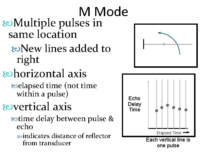 M Mode Multiple pulses in same location New lines added to right horizontal axis