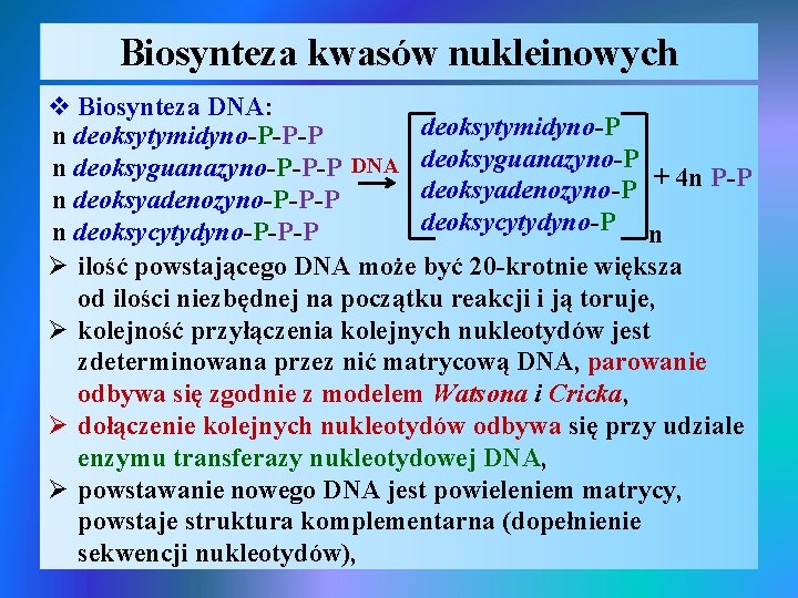 Biosynteza kwasów nukleinowych v Biosynteza DNA: deoksytymidyno-P n deoksytymidyno-P-P-P n deoksyguanazyno-P-P-P DNA deoksyguanazyno-P +