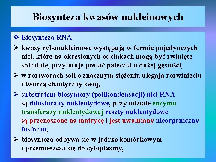 Biosynteza kwasów nukleinowych v Biosynteza RNA: Ø kwasy rybonukleinowe występują w formie pojedynczych nici,