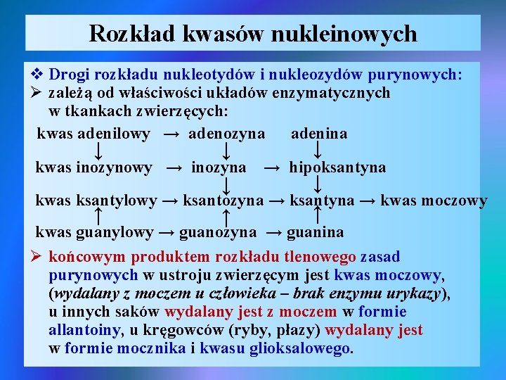 Rozkład kwasów nukleinowych kwas inozynowy → inozyna → → → v Drogi rozkładu nukleotydów