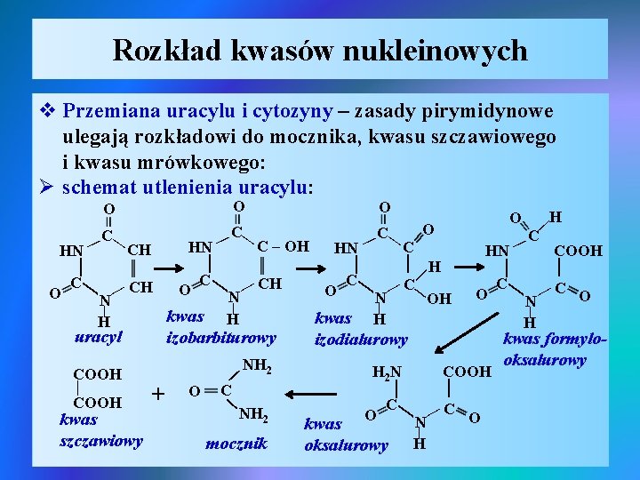 Rozkład kwasów nukleinowych v Przemiana uracylu i cytozyny – zasady pirymidynowe ulegają rozkładowi do