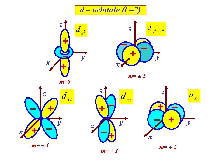 d – orbitale (l =2) z z x y m= ± 2 z z