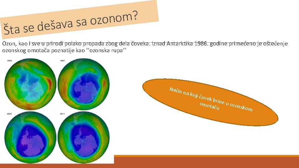 ? m o n o z o a s a v a š Šta