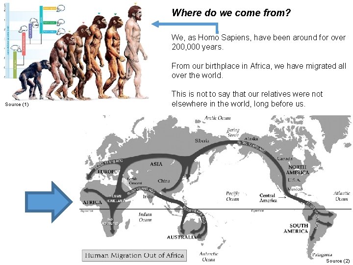 Where do we come from? We, as Homo Sapiens, have been around for over